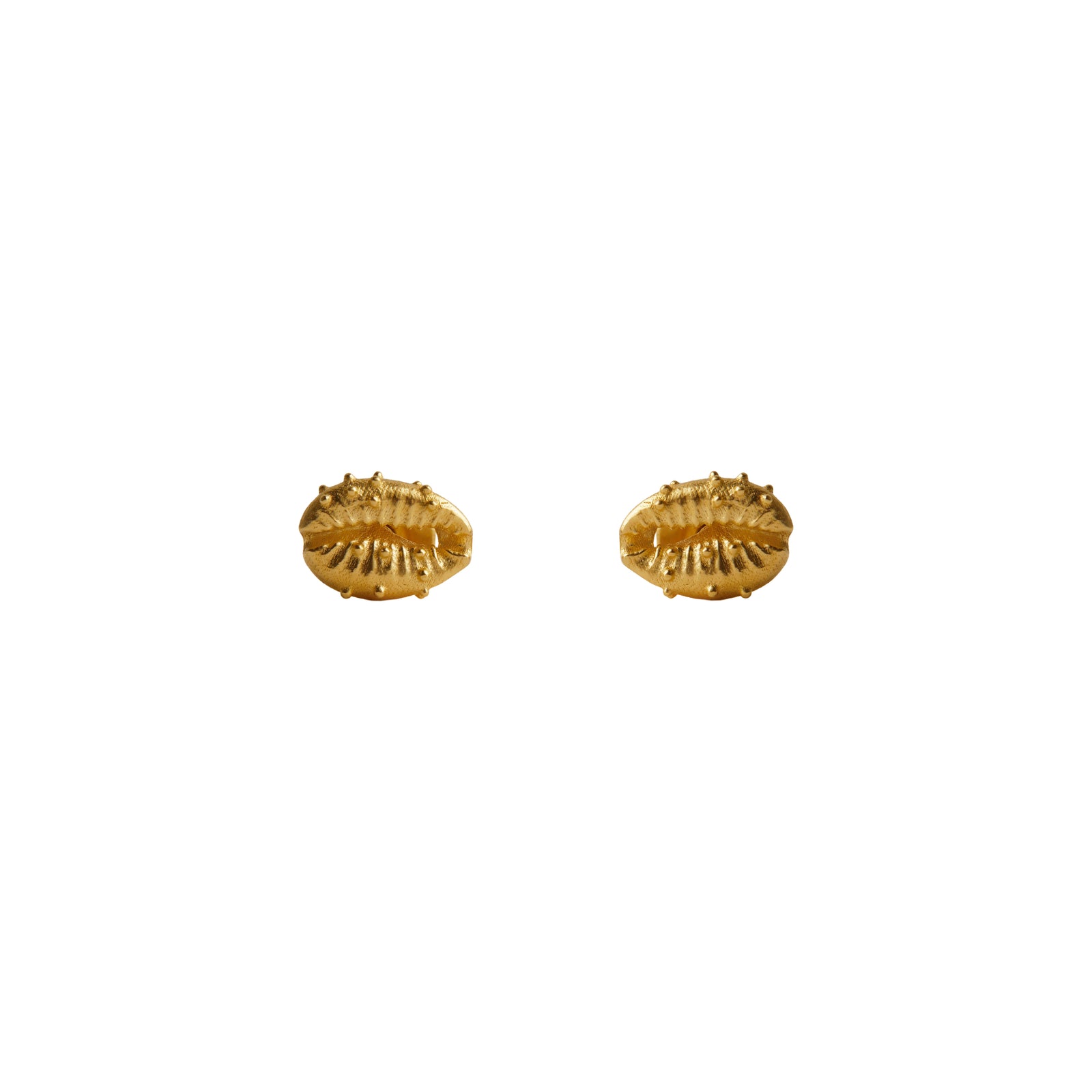 Aphrodite Stud Earrings Solid Gold