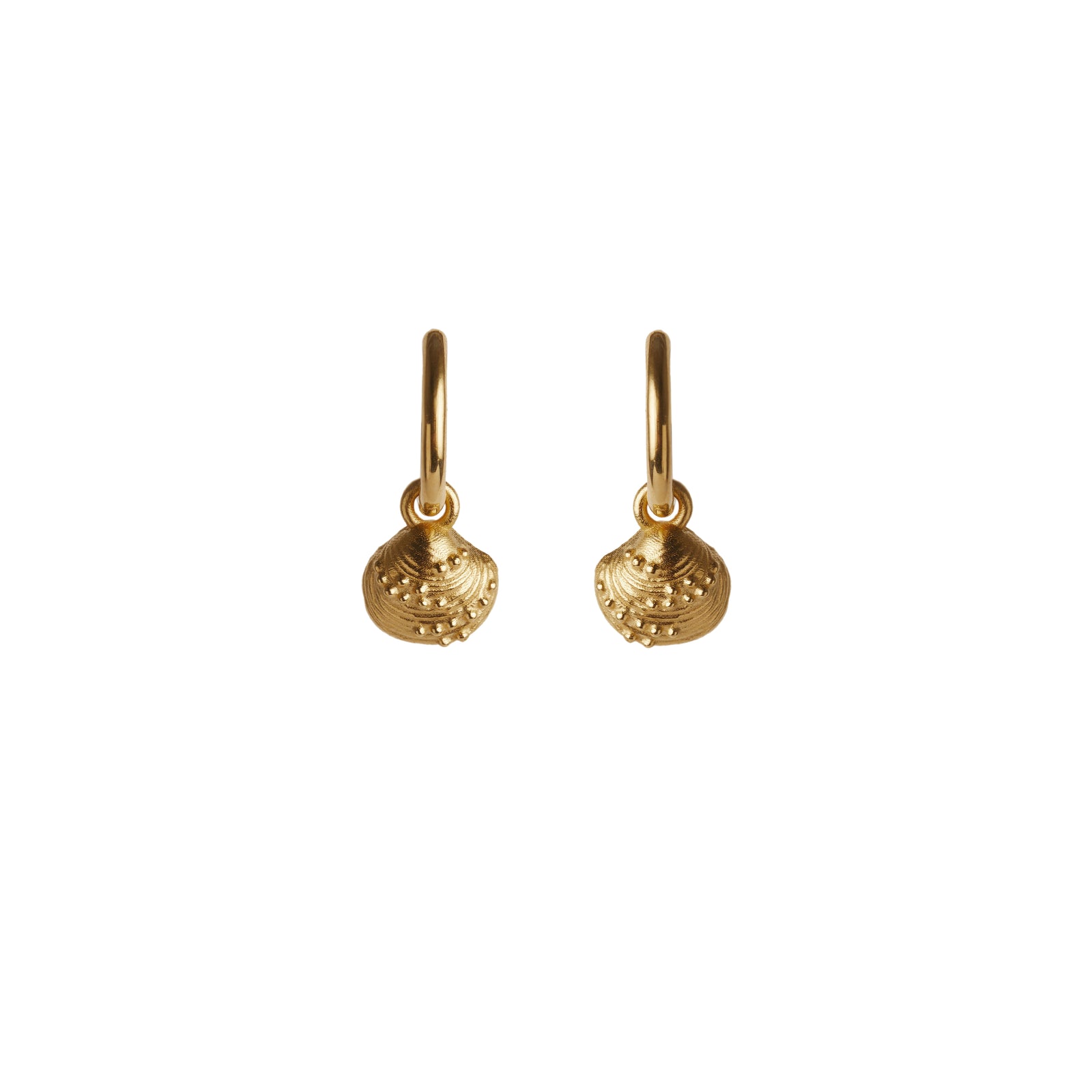 Calypso Mini Hoop Earrings Solid Gold