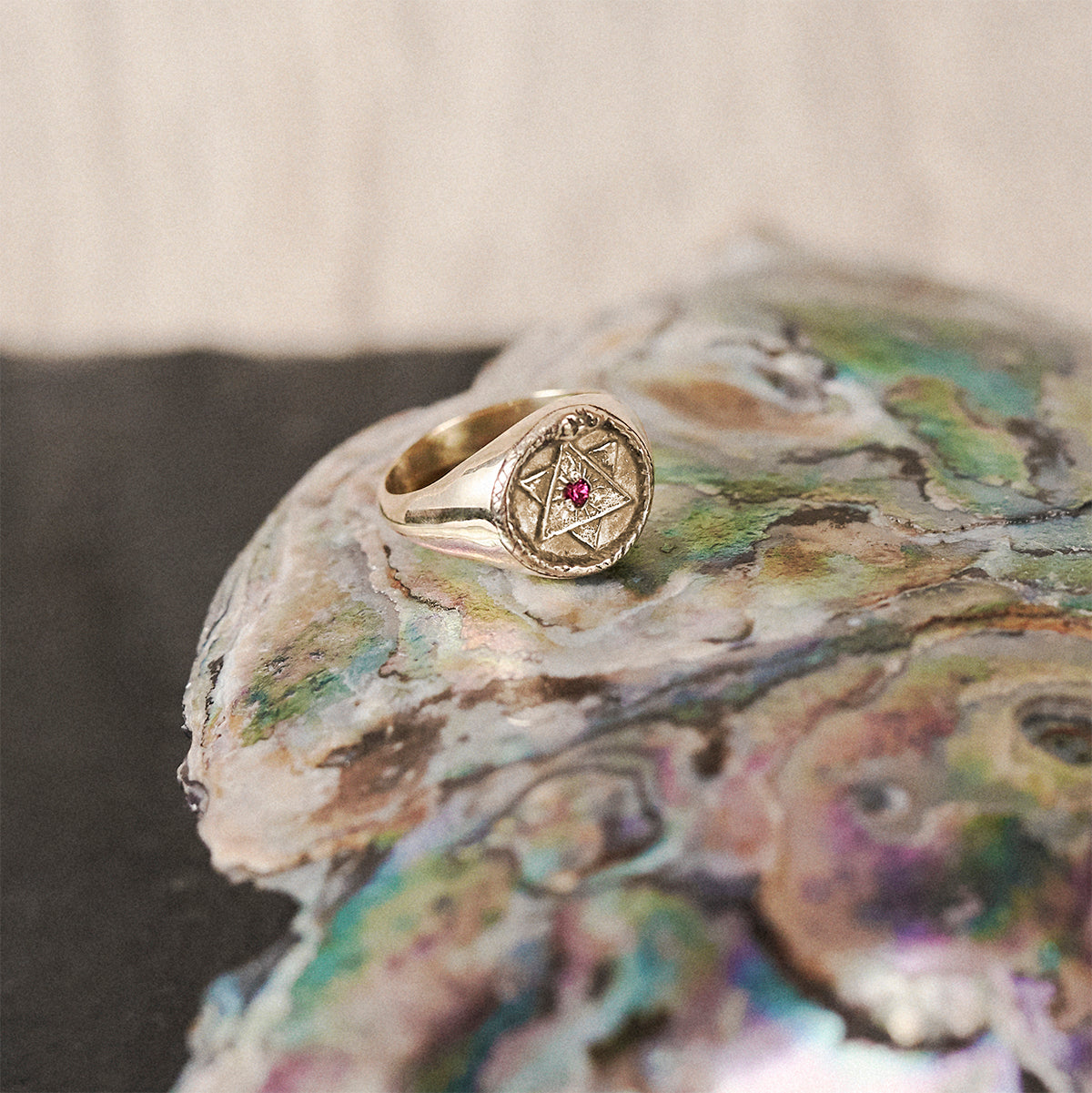 Ouroboros Signet Ring with Emerald, Ruby or Diamond Solid Gold