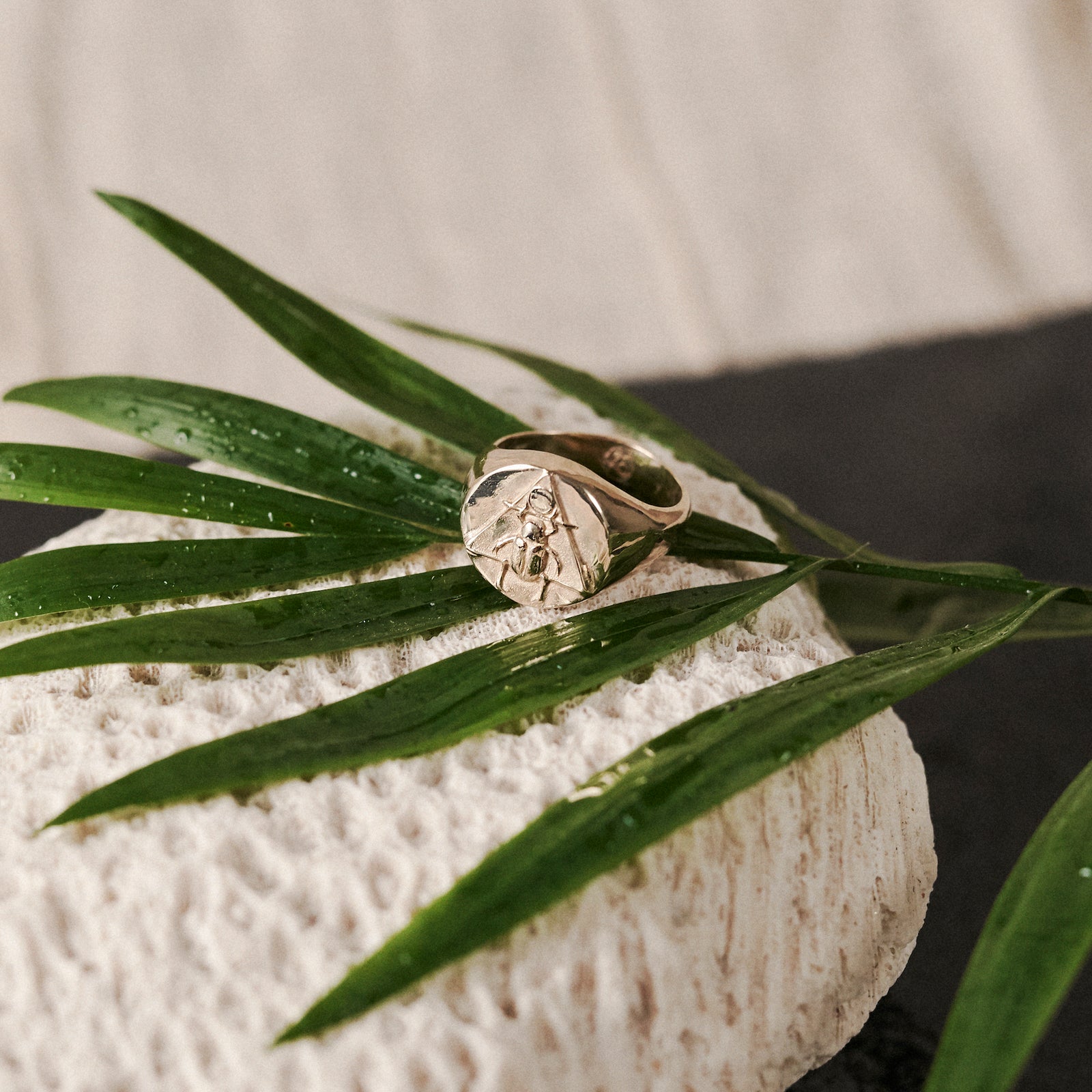 Scarab Signet Ring Solid Gold