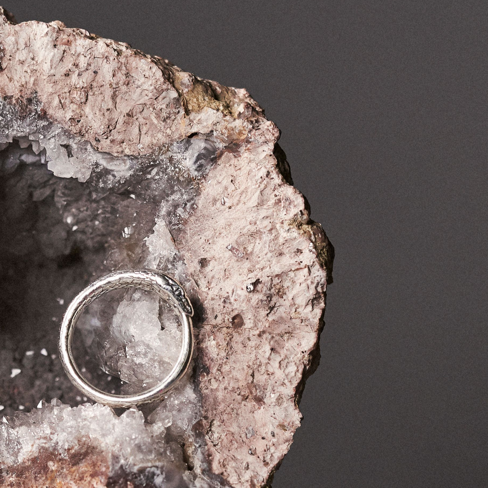 Ouroboros Snake Ring Silver Large