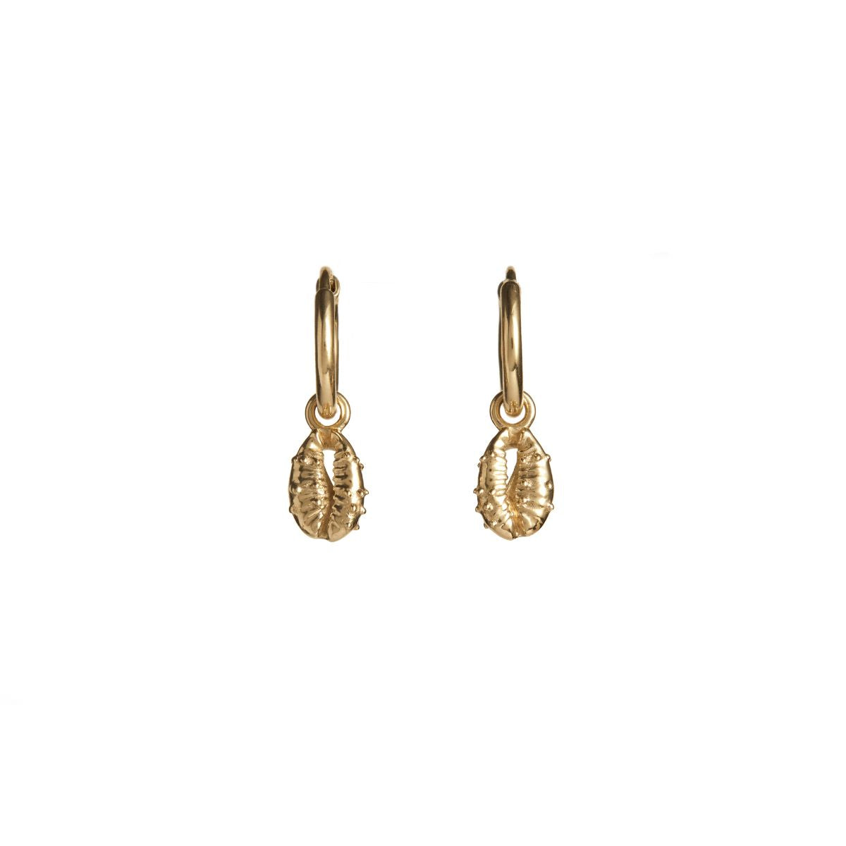 Aphrodite Mini Hoop Earrings Solid Gold
