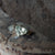 Jaw Bone Bracelet Gold