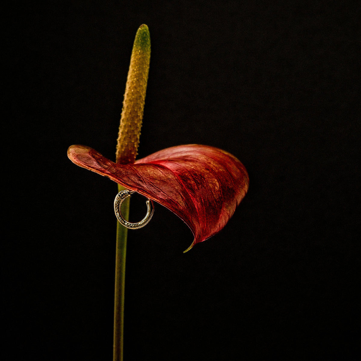 Ouroboros Snake Mini Huggie Solid Gold