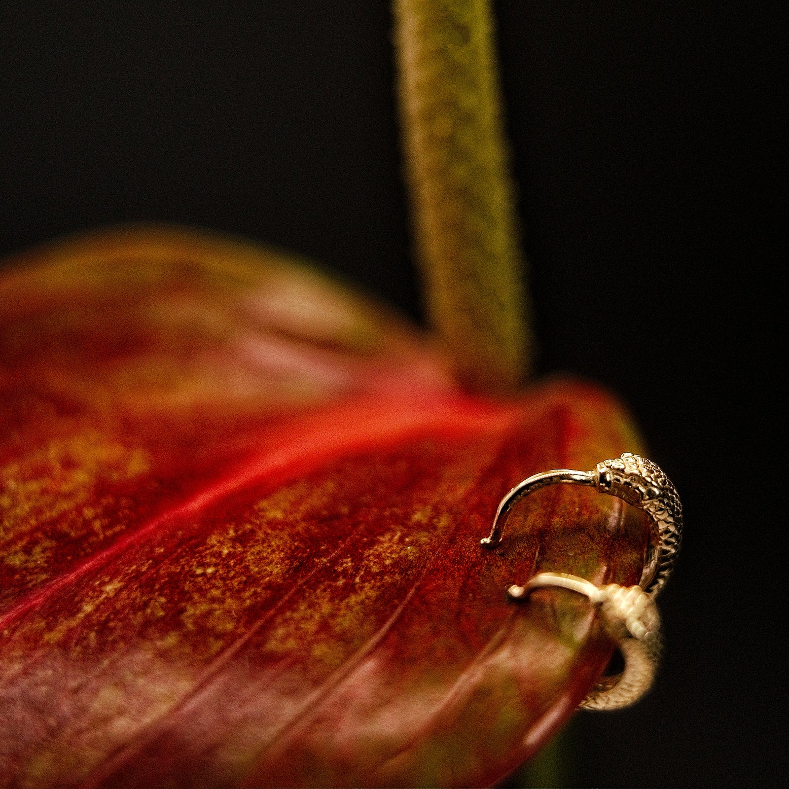 Ouroboros Snake Mini Huggie Solid Gold