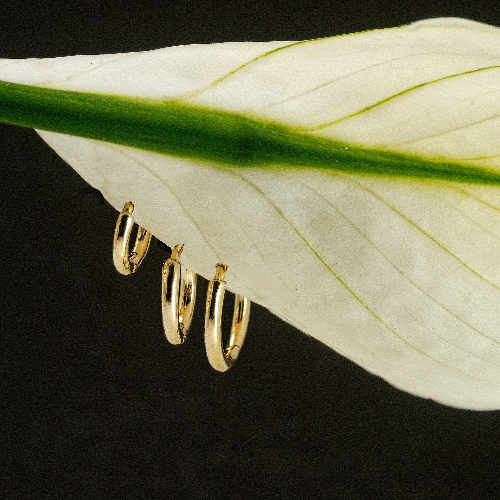 Mini Huggie Hoops Solid Gold