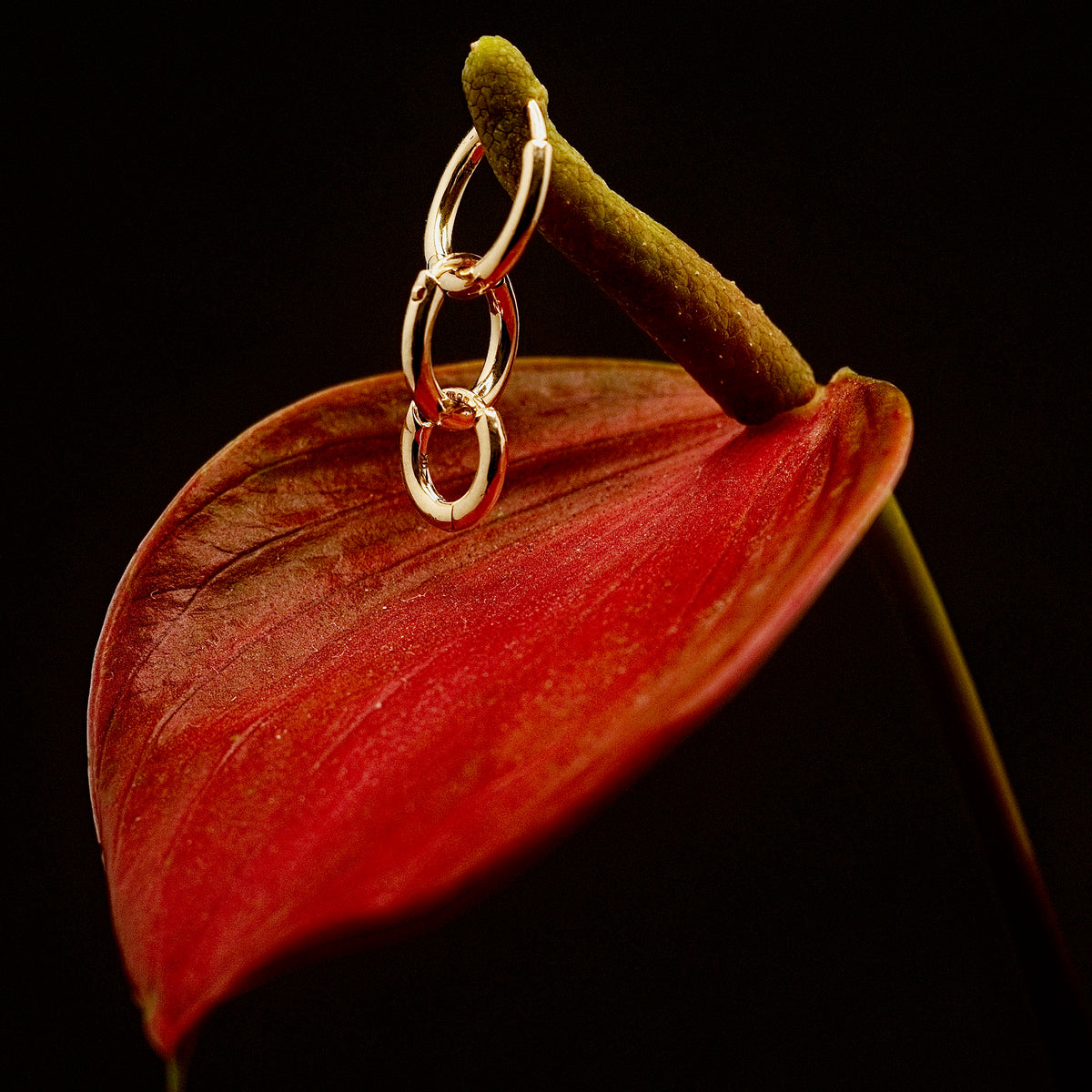 Mini Huggie Hoops Solid Gold