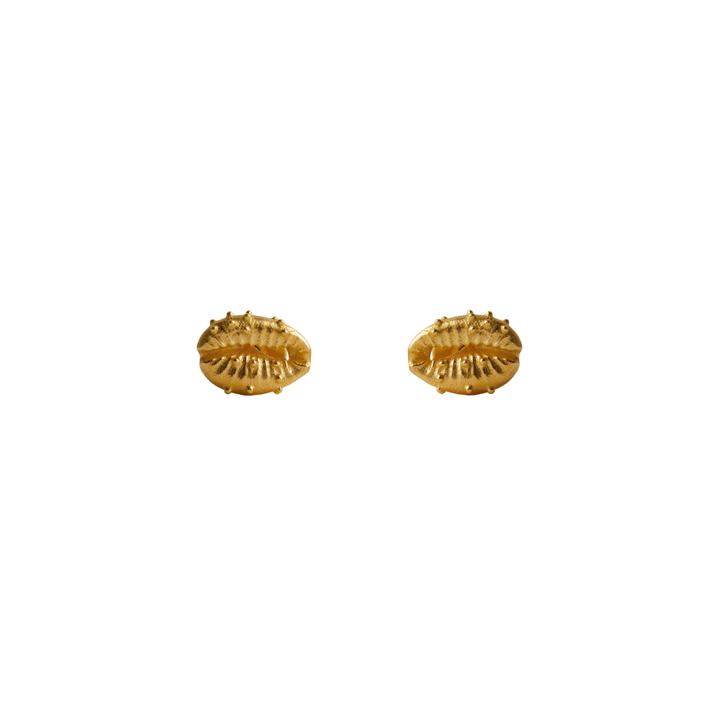Aphrodite Stud Earrings Solid