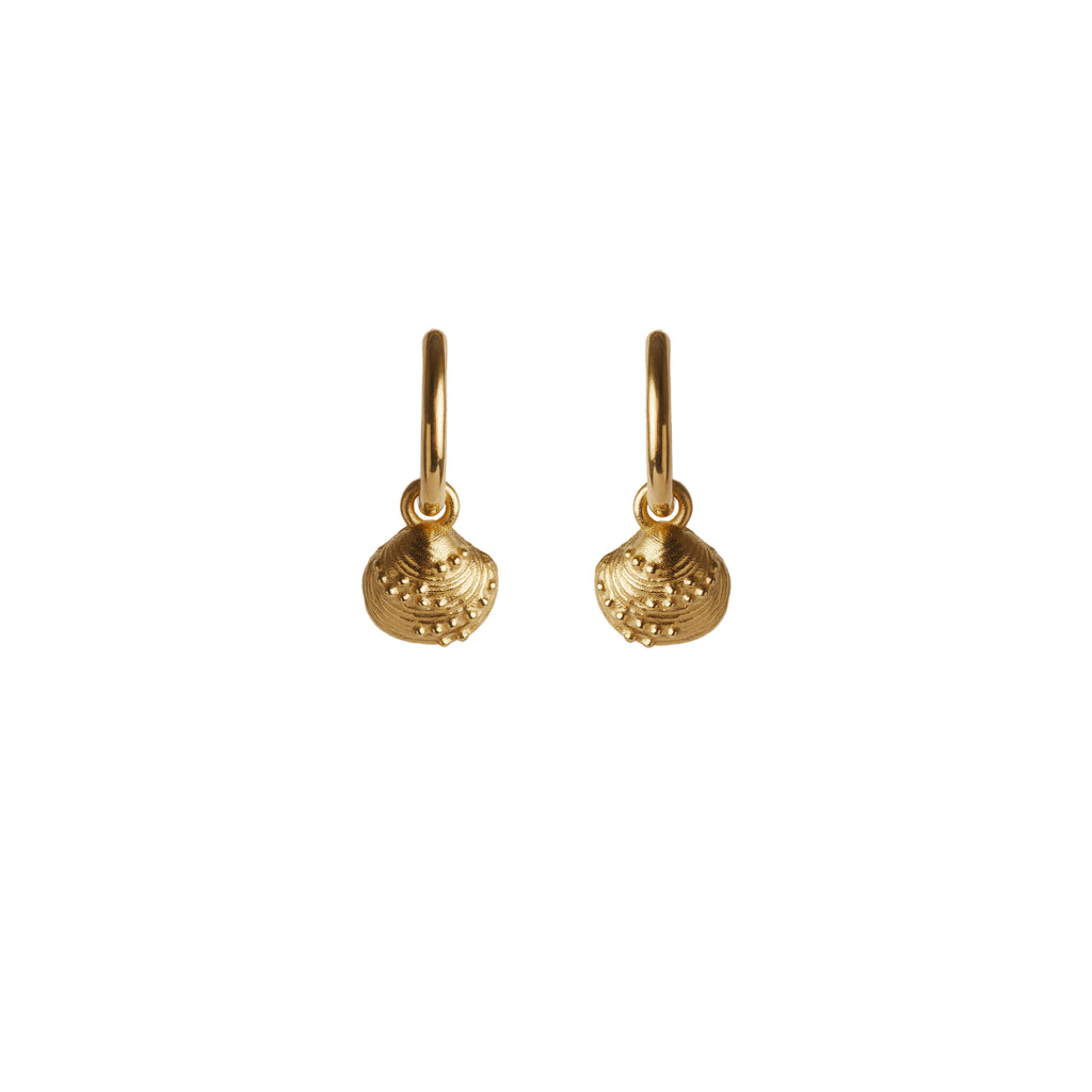 Calypso Mini Hoop Earrings Solid