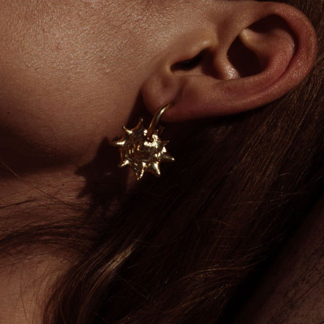 Queen Conch Chunky Hoop Earrings Silver