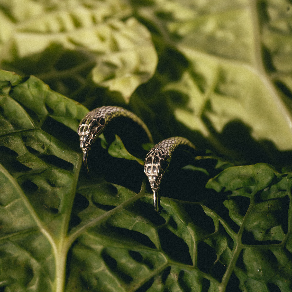 Ouroboros Snake Hoops Silver