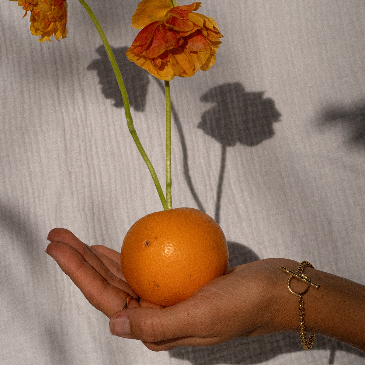 Ouroboros Chain Bracelet Solid Gold