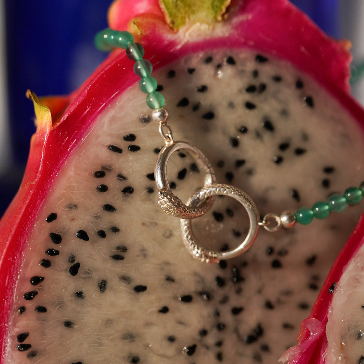 Ouroboros Onyx Necklace Silver