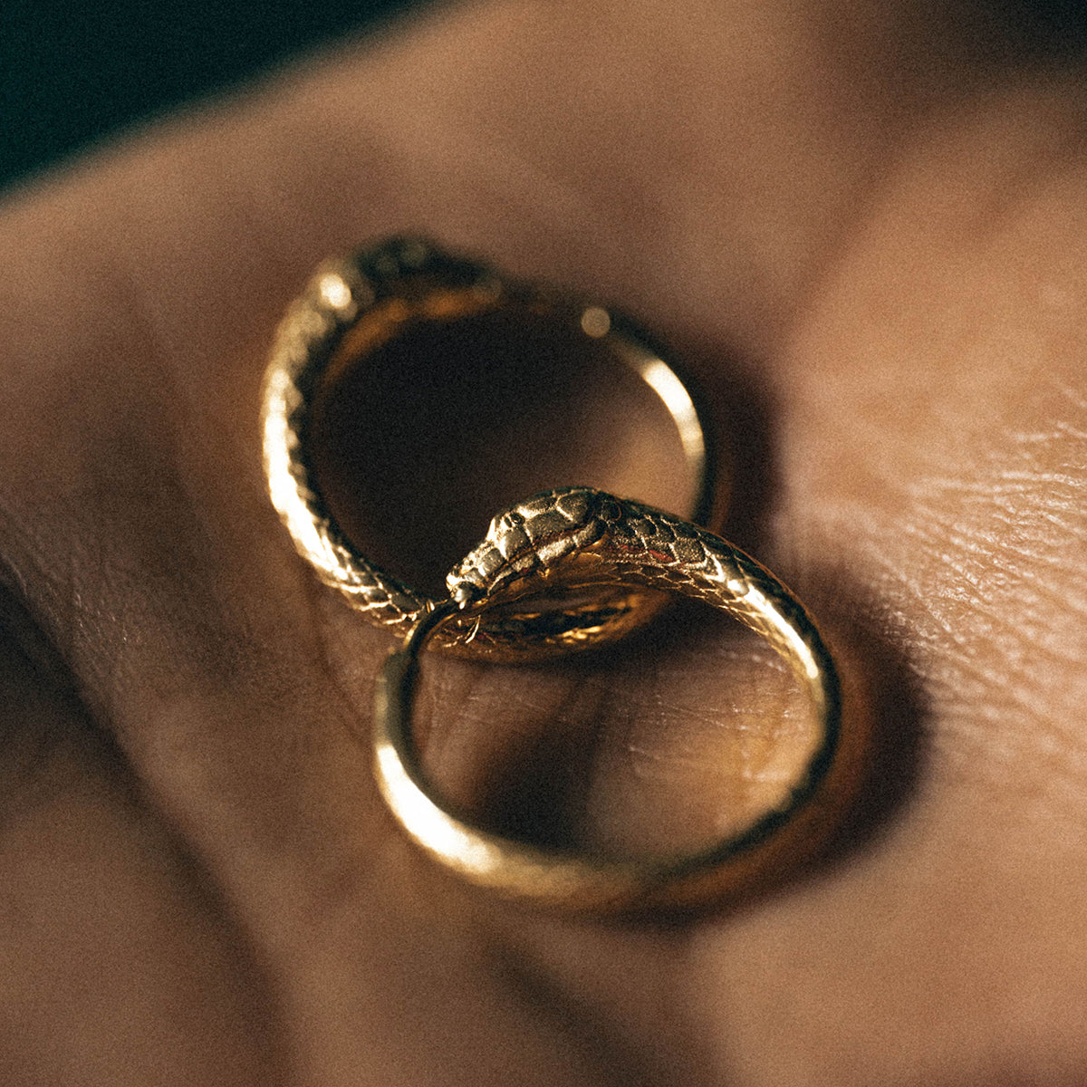 Ouroboros Snake Hoops Gold