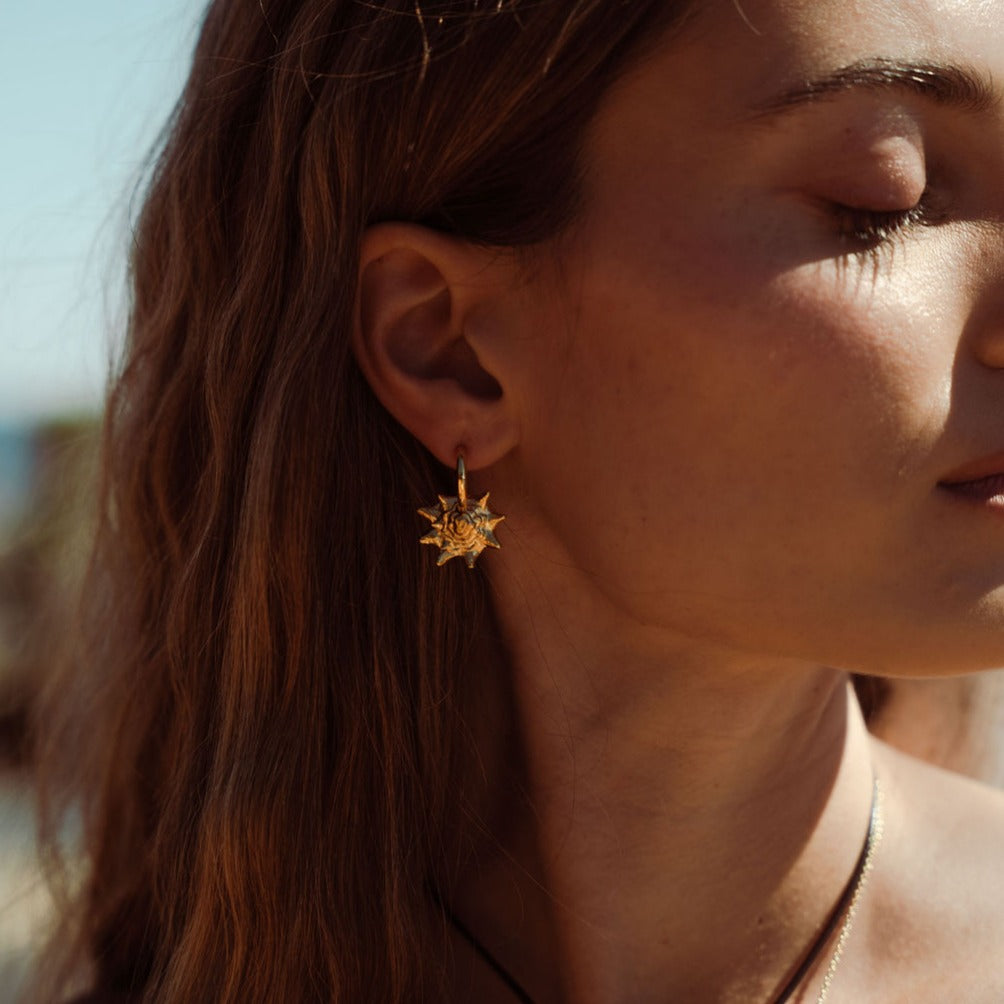 Queen Conch Chunky Hoop Earrings Gold
