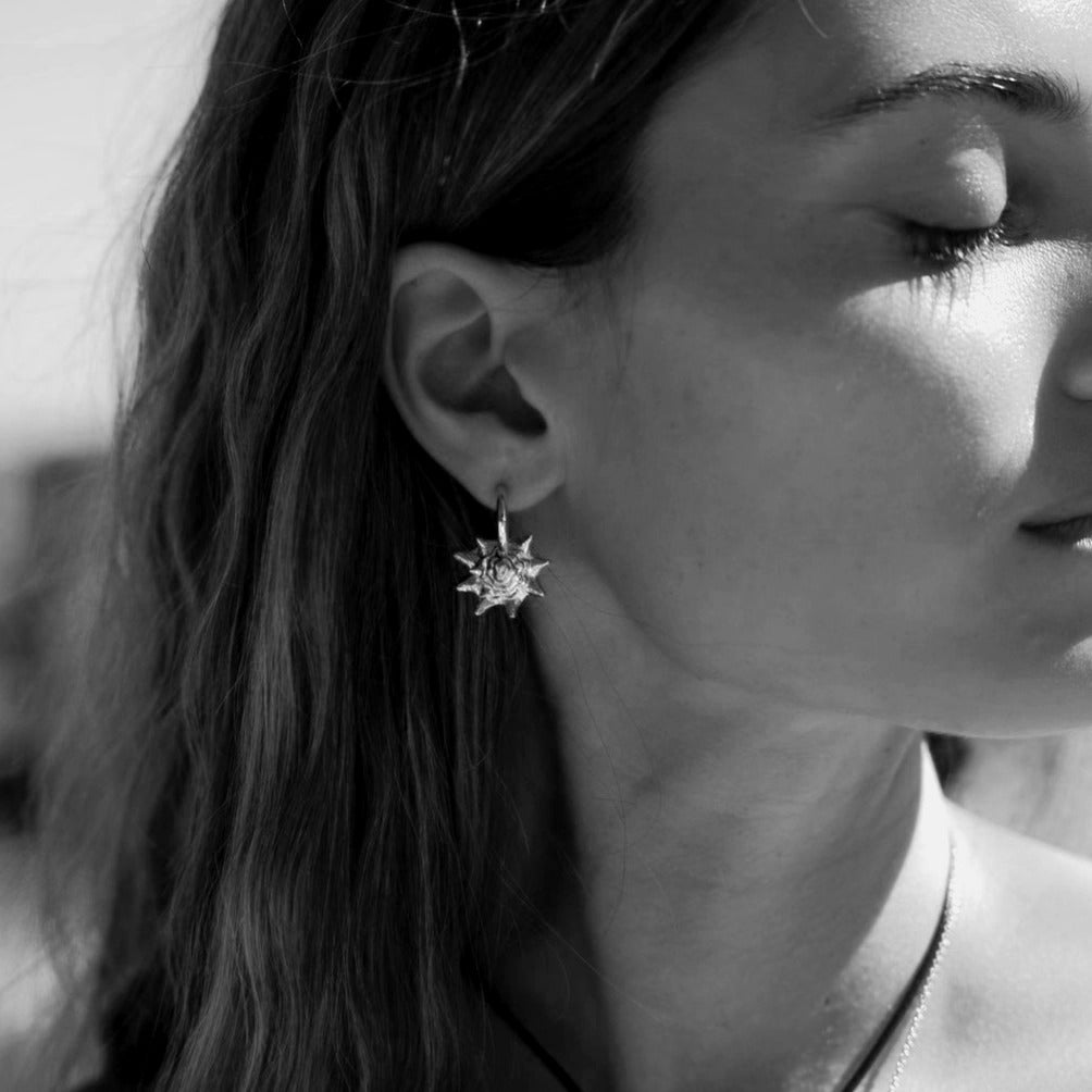 Queen Conch Chunky Hoop Earrings Silver