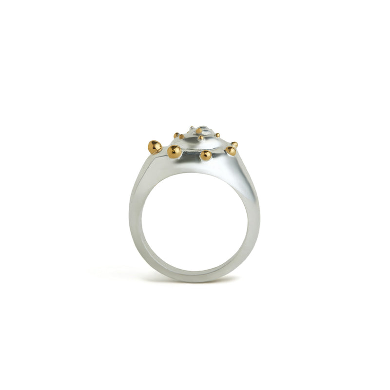 Inanna Spiral Mixed Metal Ring