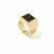 Plato Onyx Ring Solid Gold