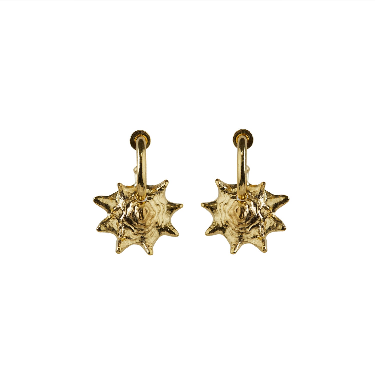 Queen Conch Chunky Hoop Earrings Gold