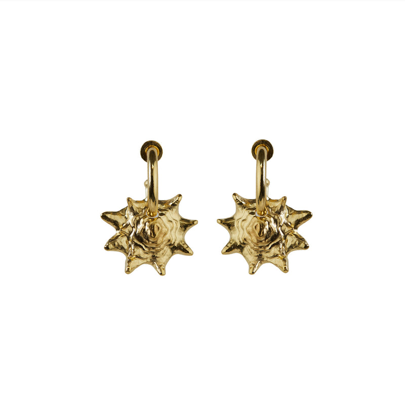 Queen Conch Chunky Hoop Earrings Gold