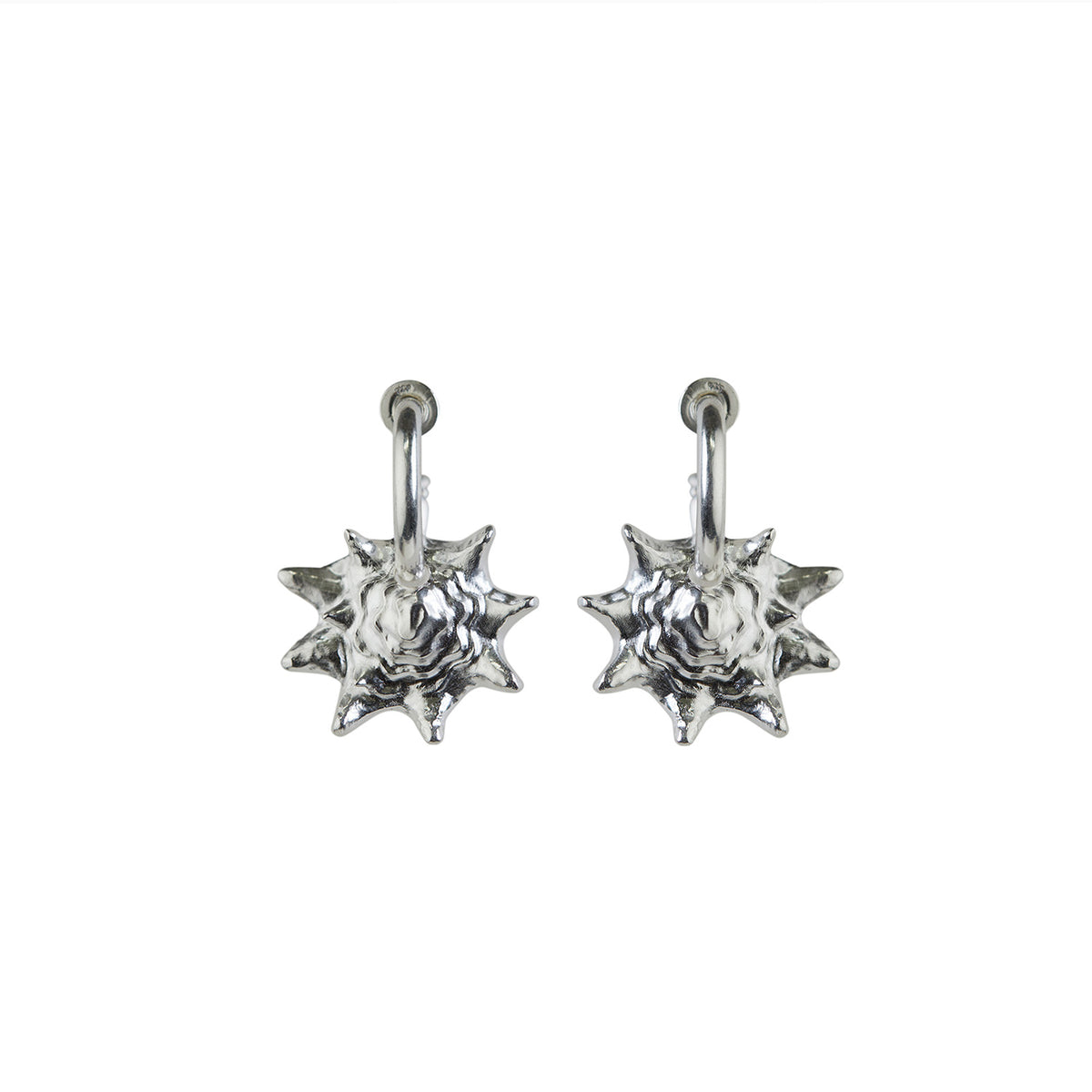 Queen Conch Chunky Hoop Earrings Silver