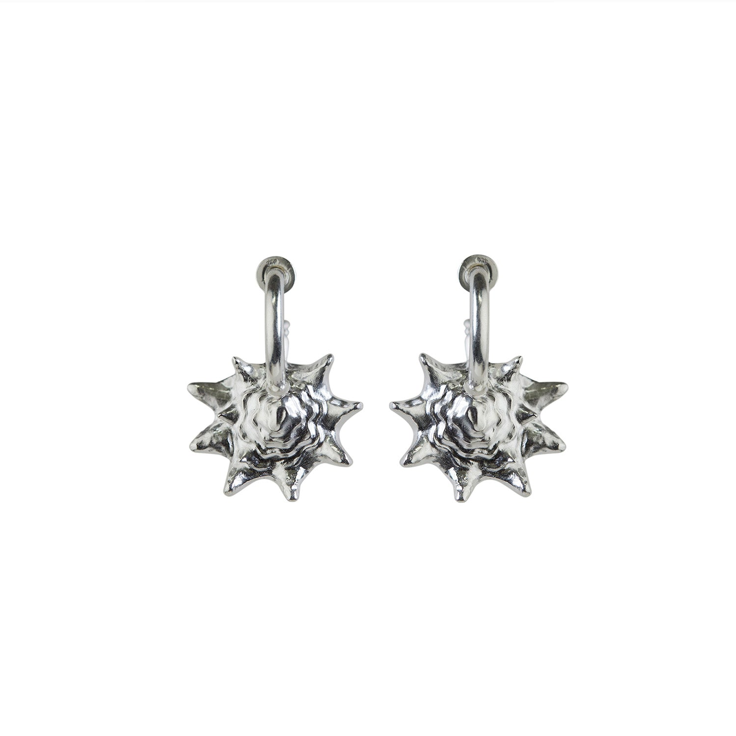 Queen Conch Chunky Hoop Earrings Silver