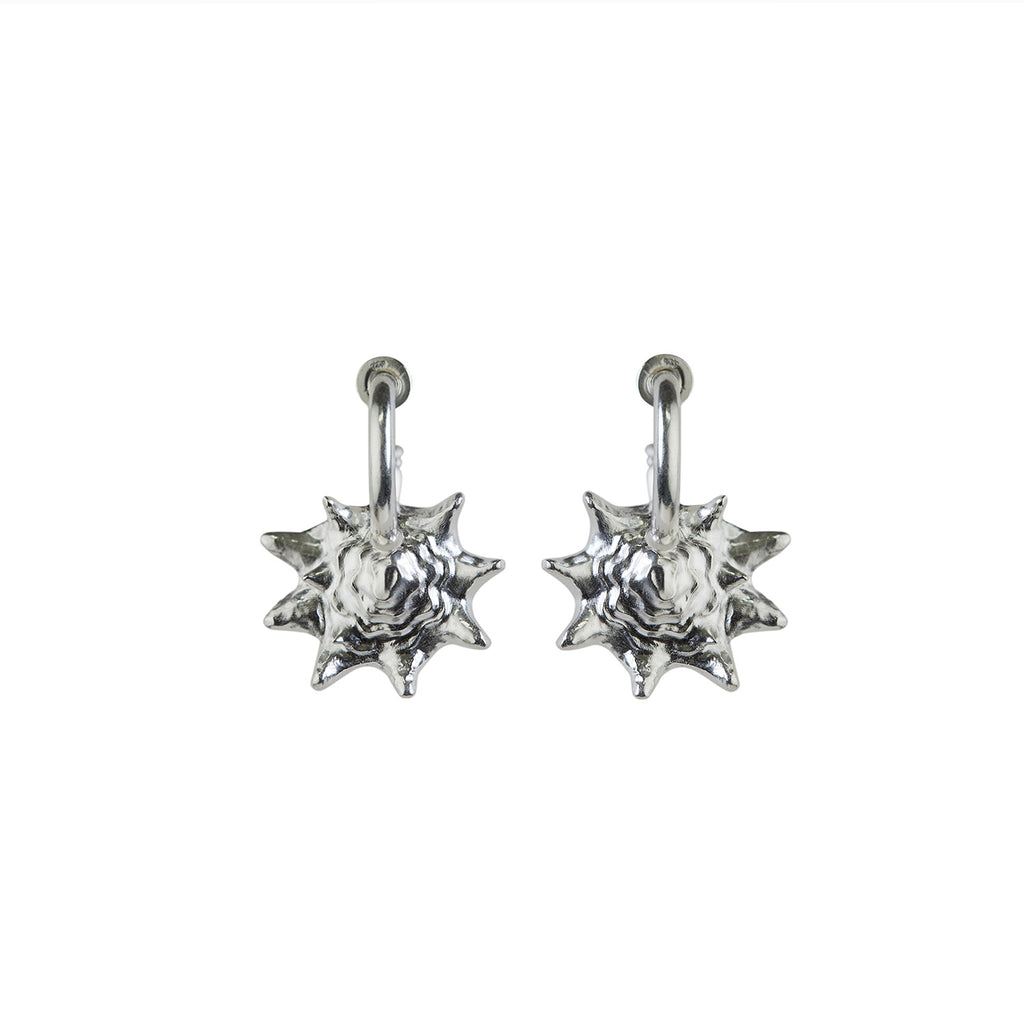Queen Conch Chunky Hoop Earrings