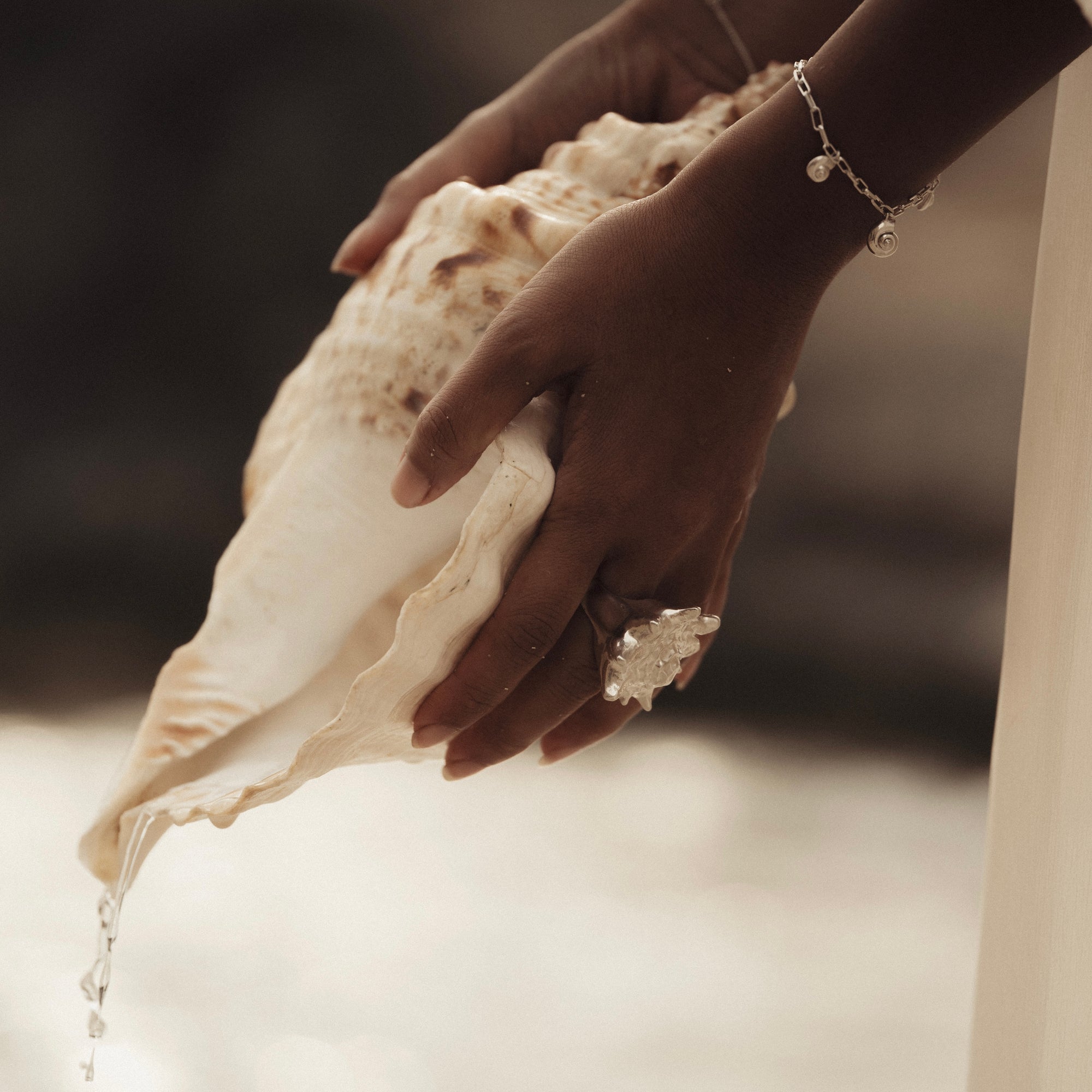 Queen Conch Ring Silver