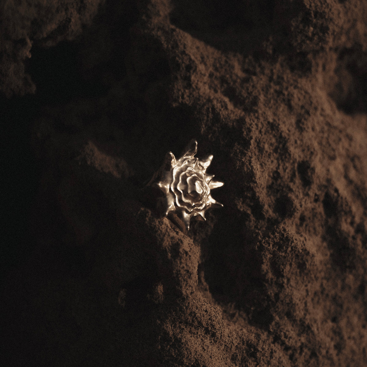 Queen Conch Ring Silver