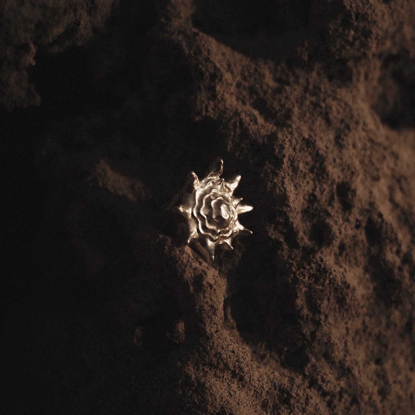 Queen Conch Ring Silver