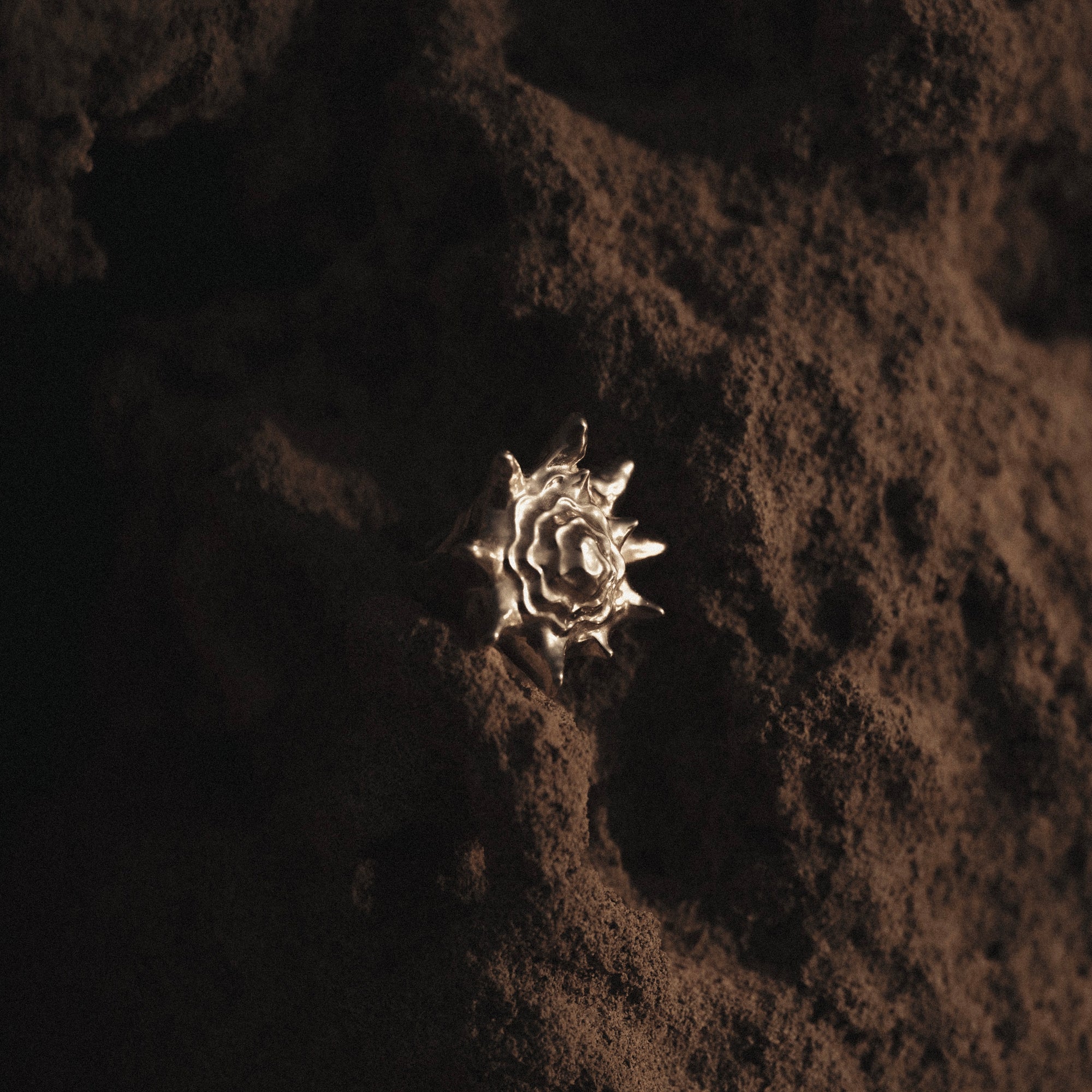 Queen Conch Ring Silver