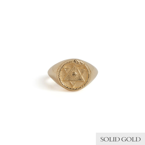 Ouroboros Signet Ring Solid Gold Rachel Entwistle