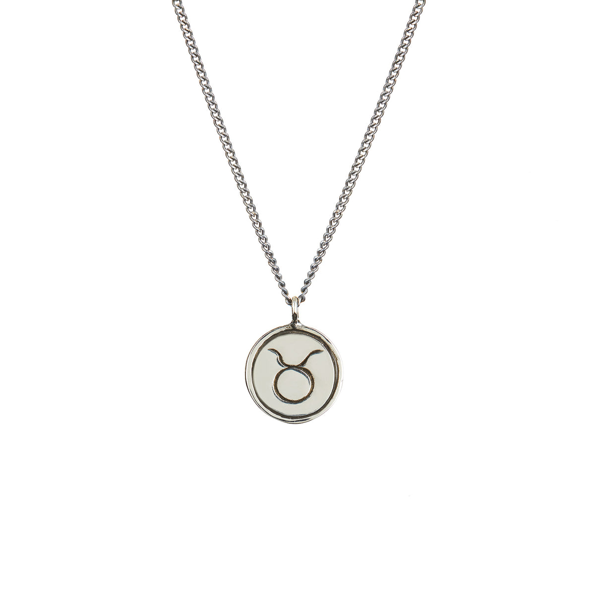 Zodiac Necklace Silver