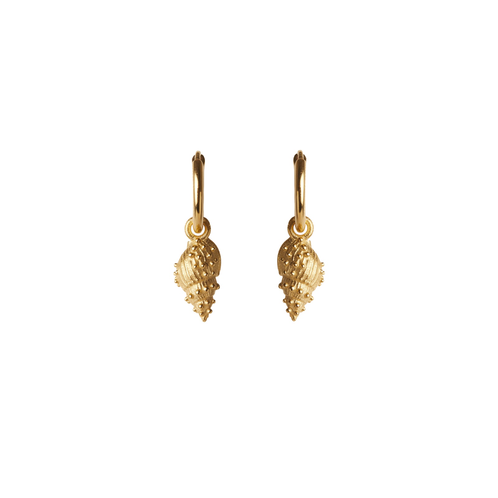 Thalassa Mini Hoop Earrings Solid Gold