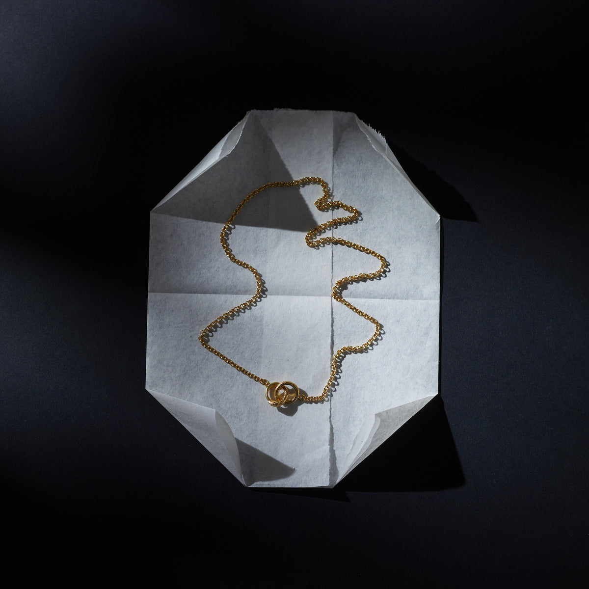 Ouroboros Fine Chain Necklace Solid Gold