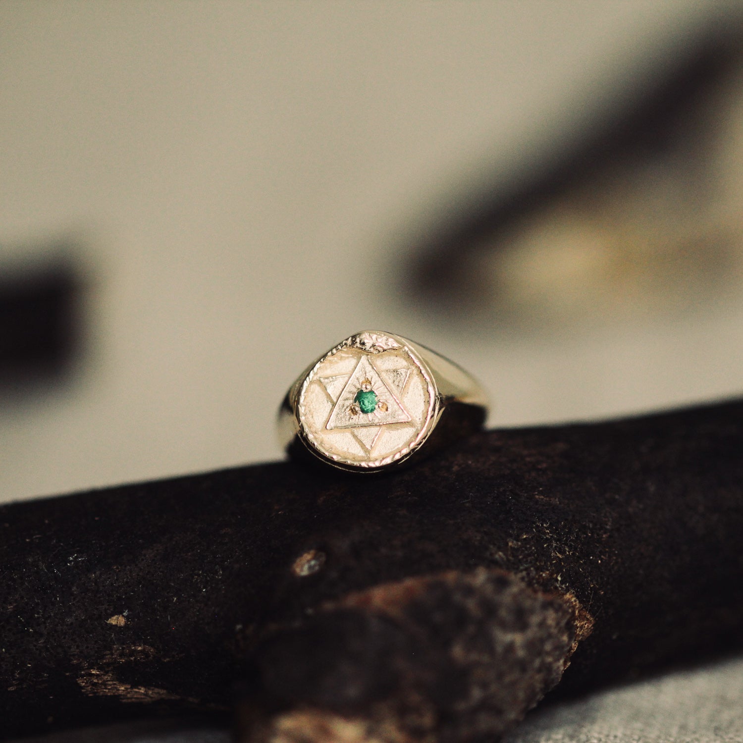 Ouroboros Signet Ring with Emerald, Ruby or Diamond Solid Gold