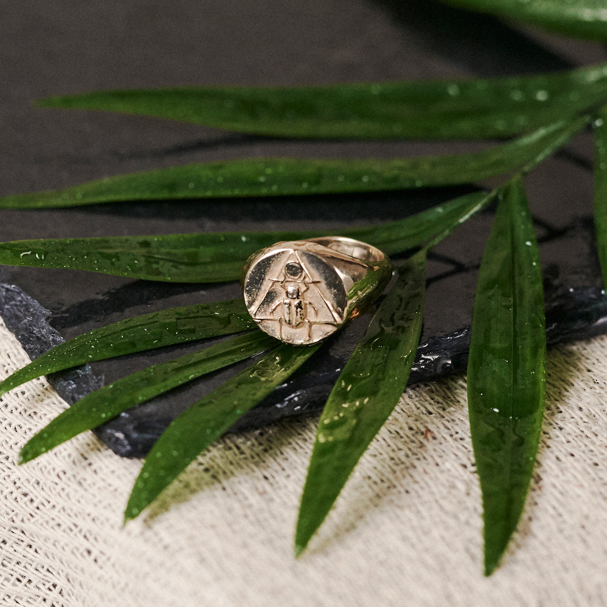 Scarab Signet Ring Solid Gold