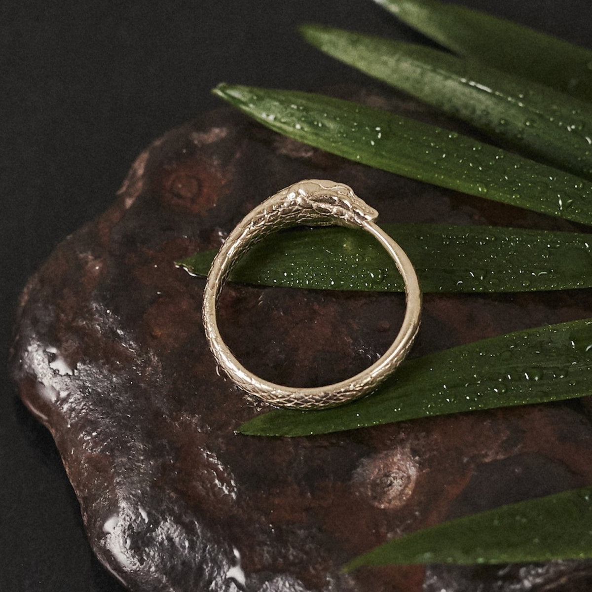 Ouroboros Snake Ring Solid Gold