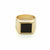 Plato Onyx Ring Gold