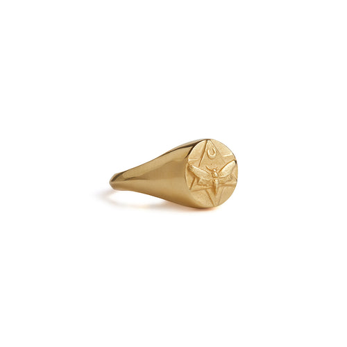 Lunar Pinky Signet Ring Solid Gold Rachel Entwistle