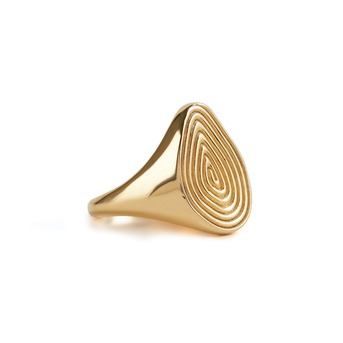 Spiral Signet Ring Gold