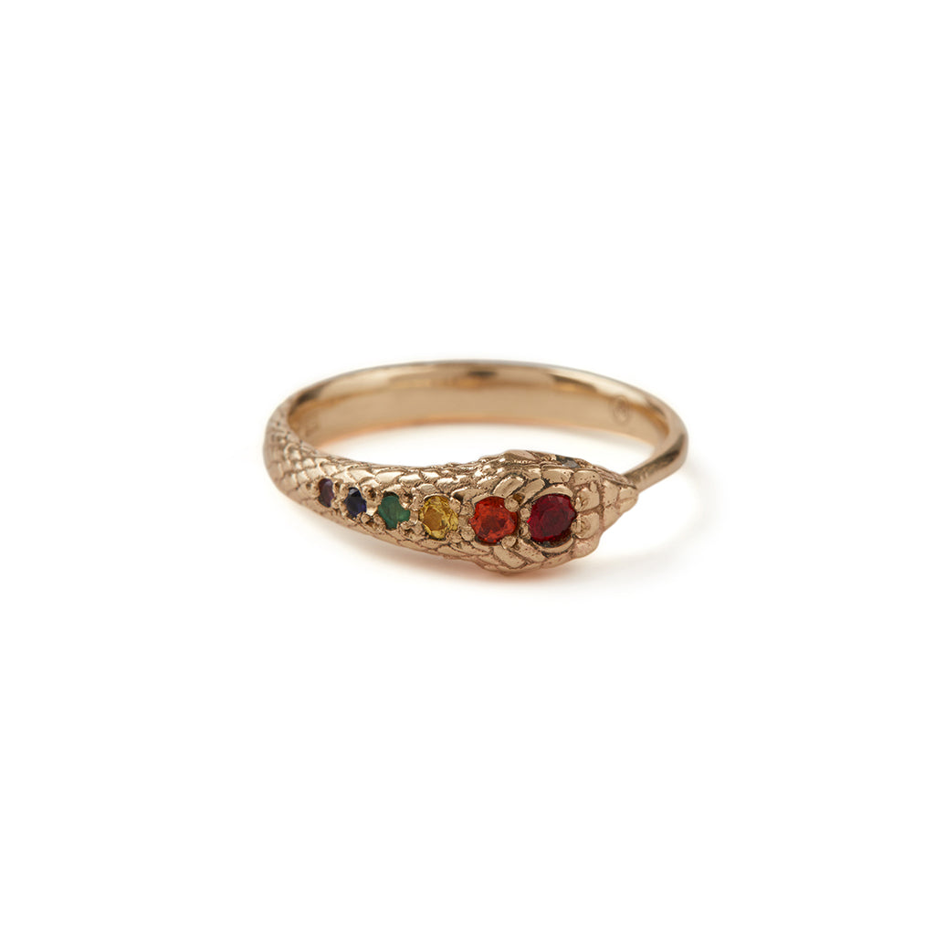 Rainbow Ouroboros Snake Ring Solid