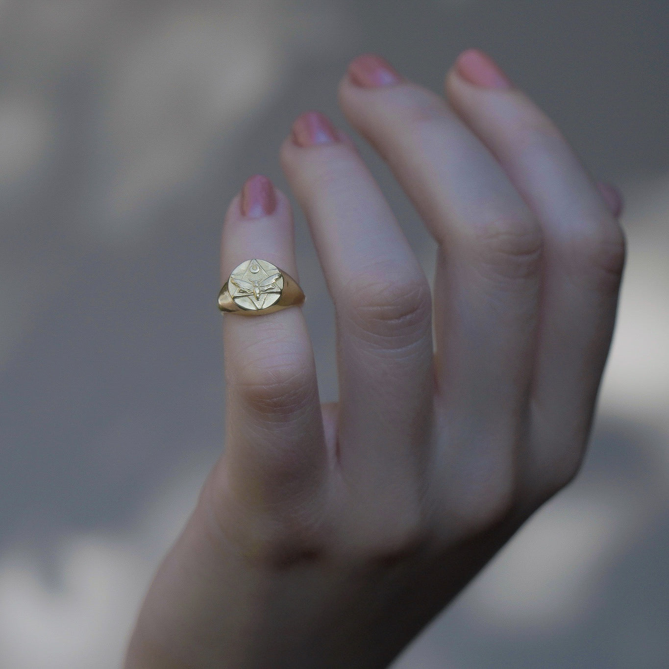 Lunar Pinky Signet Ring Solid Gold