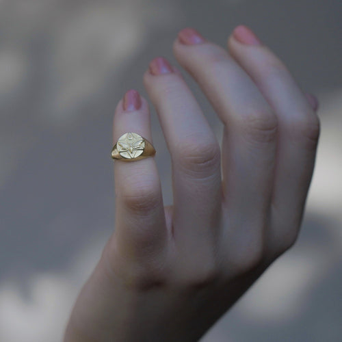 Lunar Pinky Signet Ring Solid Gold Rachel Entwistle