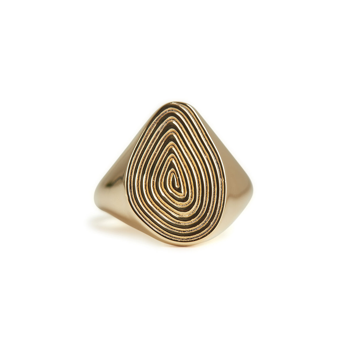 Spiral Signet Ring Gold