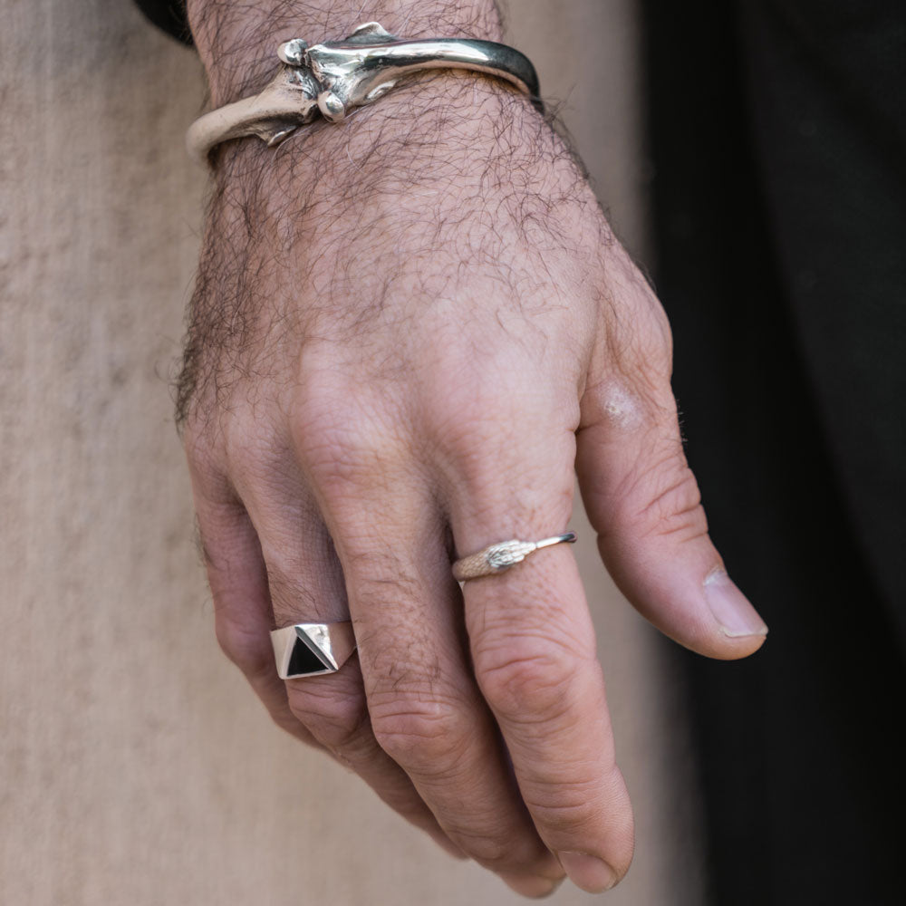 Pythagorus Onyx Ring Silver