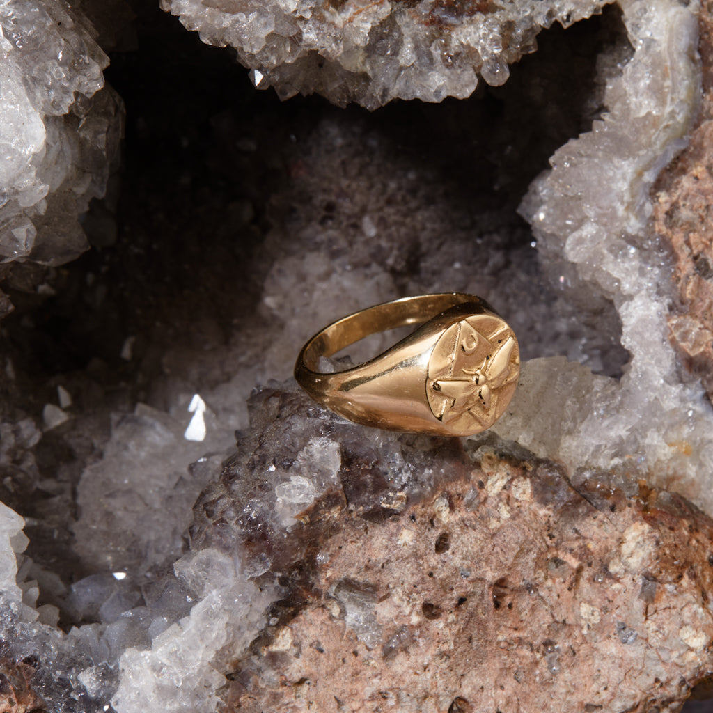 Lunar Pinky Signet Ring Solid Gold